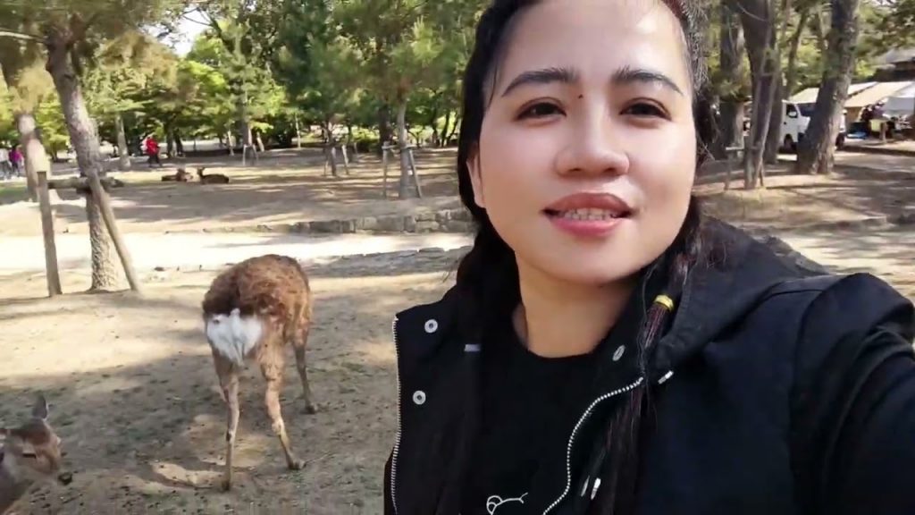 NARA  DEER🦌 PARK JAPAN OUR TRIP 2025